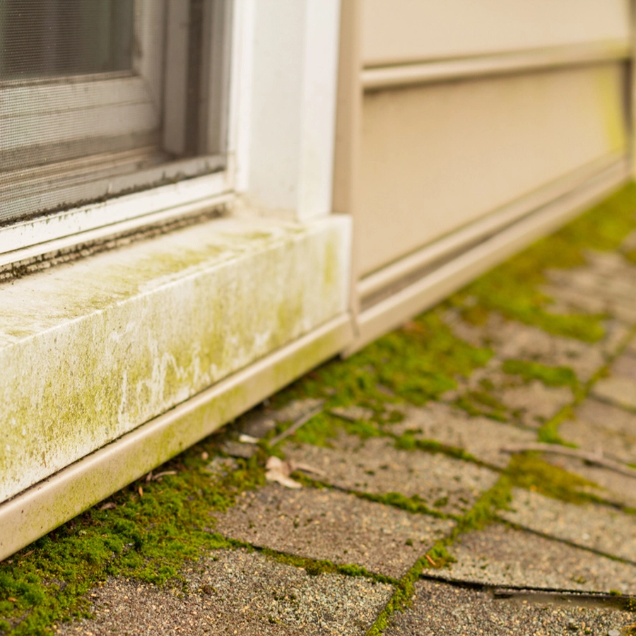mold removal is one the of the benefits of pressure washing your home